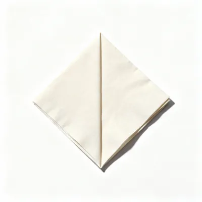 Paper Napkin